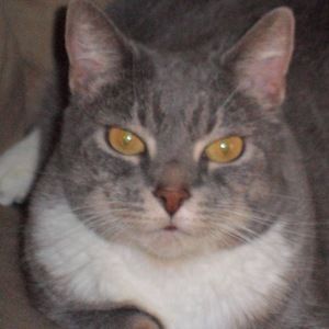 Meet your Posher, Tammy